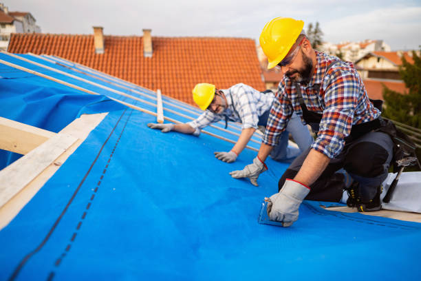 Fast & Reliable Emergency Roof Repairs in Holland, MI